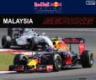 M.Verstappen, Malezya Grand Prix 2016